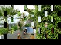 simple terrace garden decoration for minimalist home