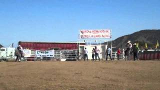 Virginia City zebra race