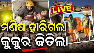 Live ଜୀବନ ବଞ୍ଚାଉଛି NDRF କୁକୁର: India's Dog Squad In Turkey | Rescue Operation | Odia News