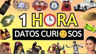 ¡1 HORA Con MUCHOS DATOS CURIOSOS! ⏰😯 | #3 | Zarpado