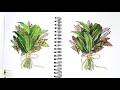 herb bundle watercolor painting sketchbook sunday