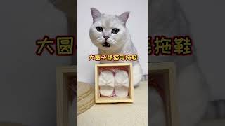 【大圆子】有谁想要大圆子牌猫毛拖鞋呀？评论区告诉我吧~