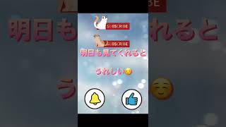 ポケポケパック開封チャレンジ12日目#ぽけぽけ #ポケポケ #ポケポケ開封チャレンジ