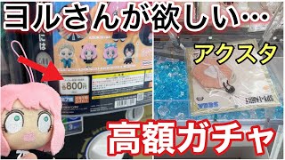 【スパイファミリー】高額ガチャ！！ヨルさん出るまで引いてみた!! 開封します！帰り道はクリアキーチェーンにも挑戦！【ガチャガチャ】【プレミアムガシャポン】【クレーンゲーム】【ぷにとっぷ♡】