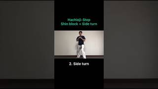 Hachioji-Step八王子ステップ #shorts #lees #martialarts  #boxing #tkd  #tkdfamily #태권도 ＃テコンドー