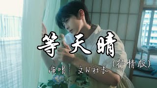 文W社长 - 等天晴(抒情版)『我好想身边有你一起 陪我等天晴，陪我翻山越岭  陪我等风，停看天边落日 在海心里倒映。』『动态歌词MV』