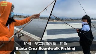 圣克鲁斯码头钓鱼 -北美 加州 如何带家人钓鱼 SANTA CRUZ PIER FISHING【纷享 Art.Fun.Share】