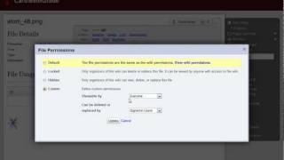 File Permissions