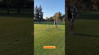 Dries Mertens ve Ciro'dan golf sahasında şov! #driesmertens #ciro #mertens