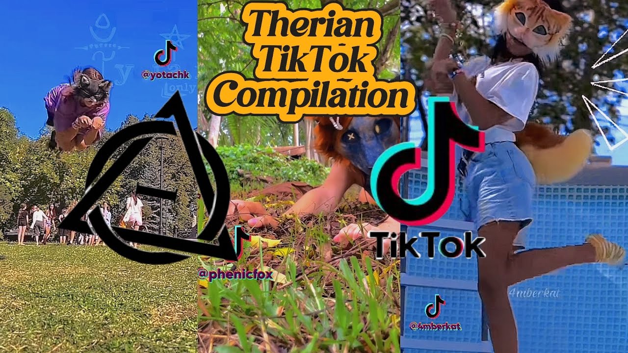 Therian Tiktok Compilation Part 1 Saphire Youtube