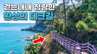 National Geographic's Top Destination, Korea's Best 4.8km Coastal Trek. Day Trip by Public Transport