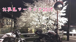 お花見ツーリング2017