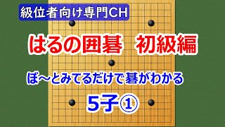 ぼ～とみてるだけで碁がわかる　5子局①（天頂の囲碁）