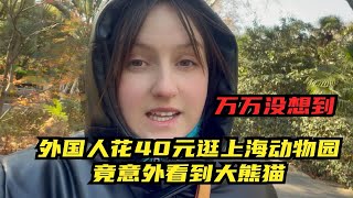 当外国人花40元逛上海动物园，竟有意外之喜，没想到能看到大熊猫