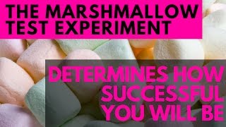 The Marshmallow Test Experiment Determines How Successful You Will Be