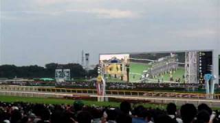 2009/11/1 東京競馬場11R 天皇賞（秋）ファンファーレ