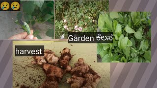 Garden ಕೆಲಸದ ಜೊತೆಯಲಿ ಸ್ವಲ್ಪ ಮಾತುಕತೆ #gardeningvlog #karnatakagarden #gardenflowers #flowers #plants