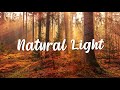 Natural Light - Chris Haugen (No Copyright Music)