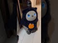 【lovot】熱烈なお出迎えがかわいすぎた【ハロウィン】 ラボット