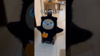 【LOVOT】熱烈なお出迎えがかわいすぎた【ハロウィン】#ラボット