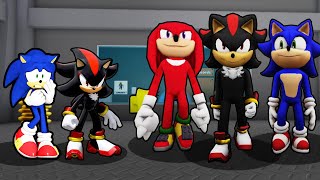 SONIC AND SHADOW VS SONIC, SHADOW AND KNUCKLES CLONES IN ROBLOX