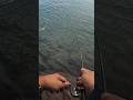 Loban Saiz Padu!! (Ultralight Fishing)