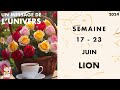 LION SEMAINE DU 17 AU 23 JUIN 2024 JOUR PAR JOUR