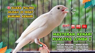 Kenari GACOR‼️ Masteran Burung Kenari PAUD dan Pancingan Kenari MACET BUNYI ( EPISODE 1471}