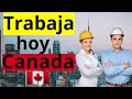 CANADÁ TE DARÁ CIUDADANÍA TRABAJANDO EN ESTO + EMPLEO EN 4 SIMPLES PASOS (GUIA COMPLETA 2023)