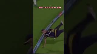 best catches in IPL history 😱😱 #cricket #shorts