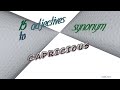 capricious - 16 adjectives synonym to capricious (sentence examples)