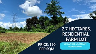 (V81) 2.7 HECTARES, RESIDENTIAL AND RICE FARM, PRICE 150 PER SQM, LOCATION UMINGAN PANGASINAN