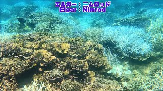 ４ｋ 「サンゴ礁と熱帯魚」「Coral reef and tropical fish」【4k 水中 UNDERWATER】【宮古島　海　サンゴ　魚　シュノーケリング　水族館　観光　移住】