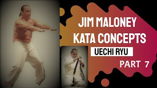 Jim Maloney Kata Concepts  Part 7 Uechi Ryu Karate (FINAL)
