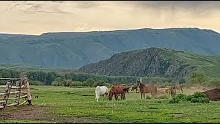 Маралды ШҚО Күршім ауданы. Әр тұрғын/тума  табиғатты аялайды