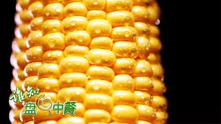 可甜可糯！鲜食玉米的甘甜玄机竟然是…… | 「谁知盘中餐」20210928