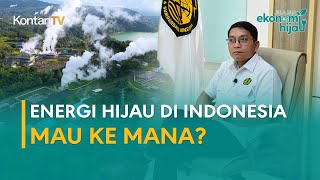 Energi Hijau di Indonesia Mau ke Mana?