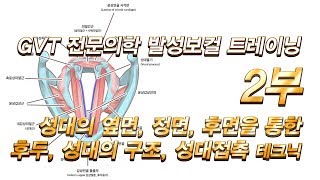 [GVT 전문의학 발성보컬 트레이닝] #2부 - 성대의 옆면,정면,후면을 통한 후두,성대의구조, 성대접촉테크닉