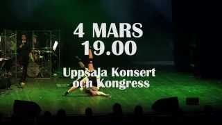 Bolandgymnasiets Multishow 2014