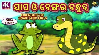 ସାପ ଓ ବେଙ୍ଗର ବନ୍ଧୁତ୍ୱ - Friendship of Snake and Frog | Odia Story for Children | Fairy Tales in Odia