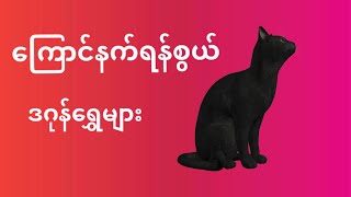 ကြောင်နက်ရန်စွယ်  #ဒဂုန်ရွှေမျှား  #ဖြစ်ရပ်ဆန်းကြယ်  #ကလဲ့စား #ထူးဆန်းထွေလာဇာတ်လမ်းများ