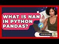 What Is NaN In Python Pandas? - Python Code School