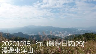 [廢j行山]行山鍛鍊日誌(29) - 漫遊東洋山｜#東洋山 #飛鵝山 #芒草 #香港行山 #香港行山路線 #行山路線 #行山 #行山vlog #4K