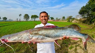 7 KG Big Singhara Fish | Fish Cutting and Cooking in Village | Mubashir Saddique | Village Food