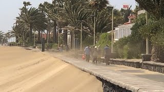 🚨💨 PLAYA DEL INGLES. Extreme Wind. The Dunes Begin to Invade the Promenade. February 2025