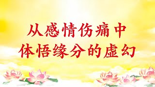 卢台长【节目录音】从感情伤痛中体悟缘分的虚幻