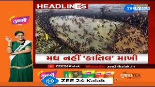 ZEE 24 Kalak Headlines @ 6 PM:10/1/2025 | Ahmedabad Flower Show | Headlines Today | Weather Forecast