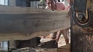 Amazing Indonesian teak Wood,, #sawmill #viral #like #love