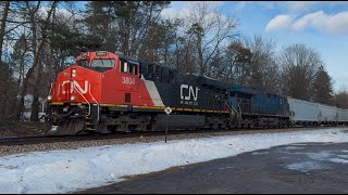 1/18/25 CN Train 491