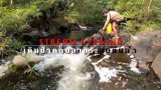 ลุยน้ำเข้าป่าตกปลากระสูบลำธารต้นน้ำ UL - Stream fishing